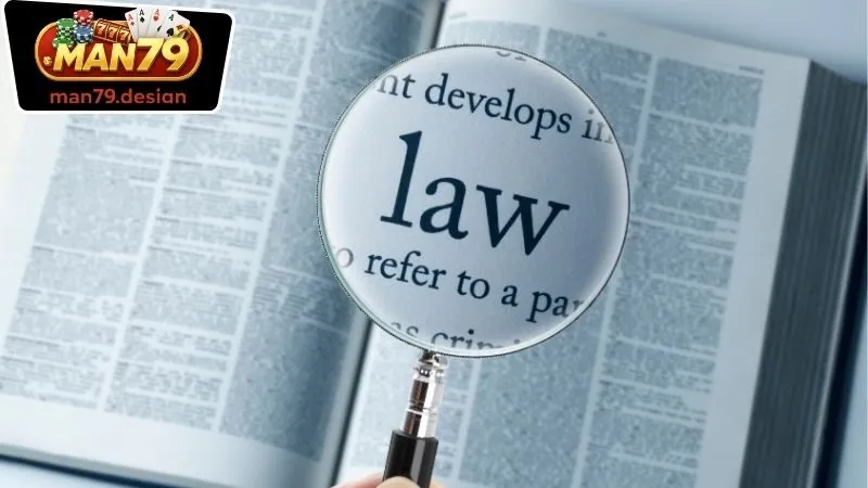 Chính sách miễn trừ trách nhiệm đang hiện hành của Man79